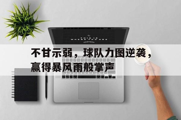 不甘示弱，球队力图逆袭，赢得暴风雨般掌声